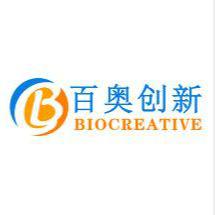 HBVAF人脑血管外膜成纤维细胞