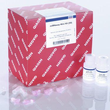 荧光定量PcR试剂盒