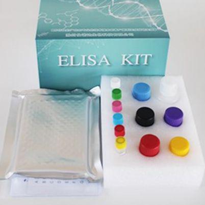 人甲状腺素抗体(TAb)ELISA Kit
