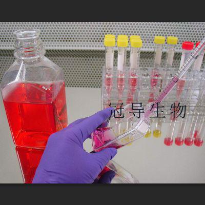 酵母氨基酸缺陷型合成液体培养基[色氨酸缺陷]长期供应