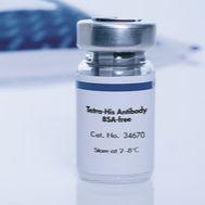 灵敏地检测带有HHHH表位的His标签蛋白