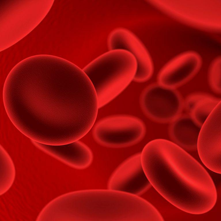 Human Platelet factor 4, PF4, 血小板第4因子（来源于血小板浓缩物）