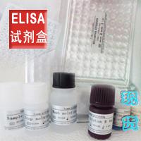 人48孔血管内皮细胞粘附分子1ELISA实验