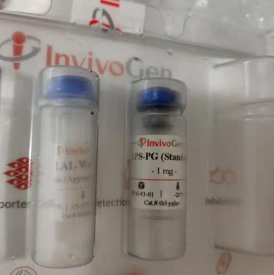 脂多糖（牙龈卟啉单胞菌）