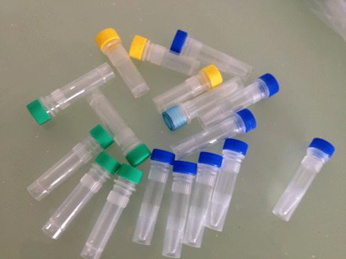 恶性肿瘤丢失蛋白EPLIN抗体