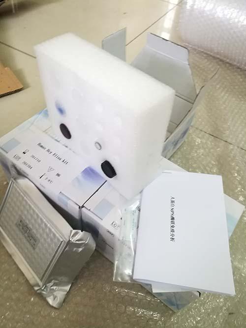 正常雪旺氏细胞（schwann cell）标记RAN-1细胞流式仪分析试剂盒