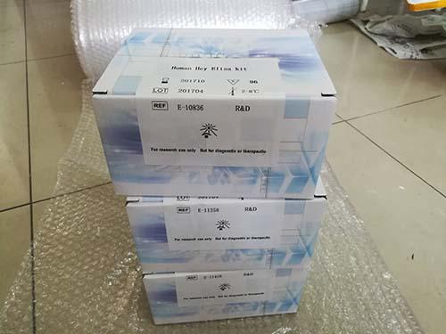 果蝇DNA损伤彗星荧光检测试剂盒