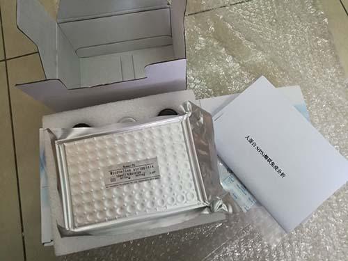 细菌脉冲凝胶电泳DNA样品制备试剂盒