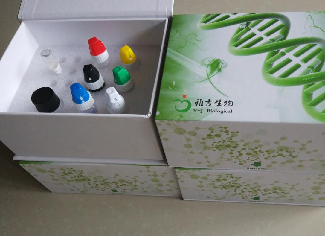小鼠抑瘤素M(OSM)Elisa试剂盒