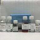 小鼠脾脏中性粒细胞分离液试剂盒