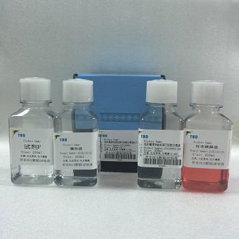 小鼠脏器组织淋巴细胞分离液KIT