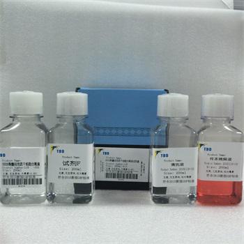 大鼠骨髓间充质干细胞分离液KIT