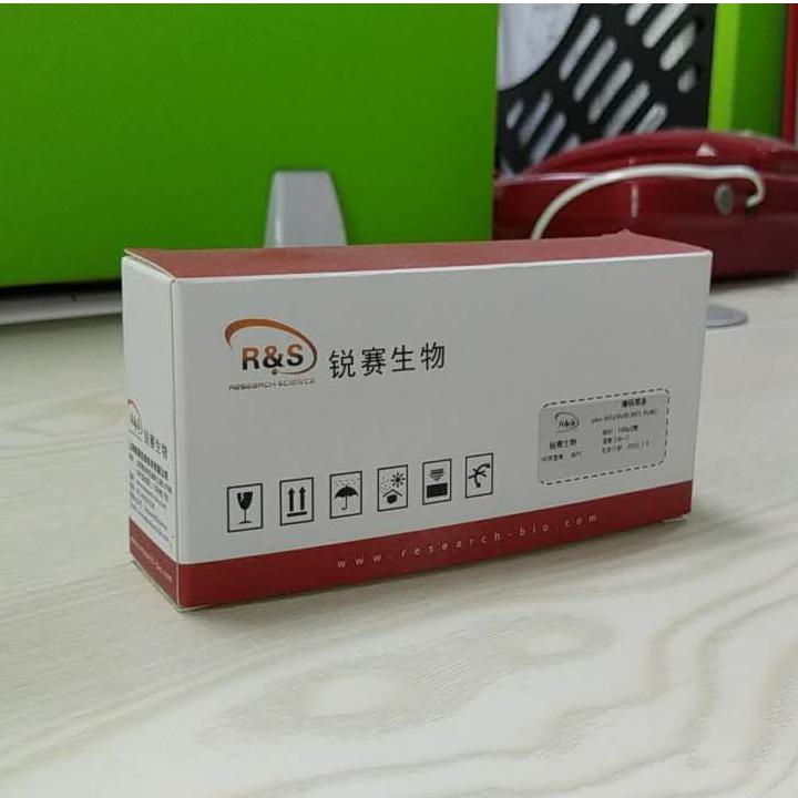 CCK-8 细胞增殖与毒性检测试剂盒