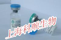 4-甲基-5-(甲基磺酰基)嘧啶-2-胺