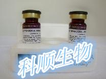 (1R,2R,4R,5R)-2,5-双(3,5-二-叔丁基-2-羟基苯亚甲基氨基)双环[2.2.1]庚烷