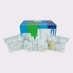 低内毒素和无内毒素质粒DNA抽提纯化试剂盒（Exfection Plasmid LE / EF）