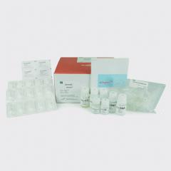 柱式法总DNA/RNA抽提纯化试剂盒（Allspin）