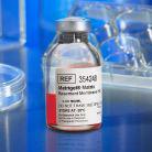 Corning® Matrigel® Matrix基质胶