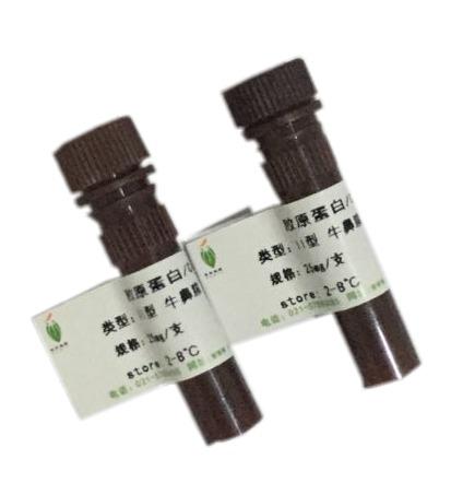  胶原蛋白 II型 牛鼻膜