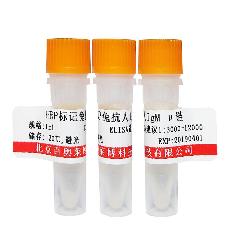 北京TIMP-2抗体厂家