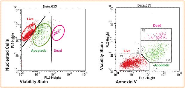 流式细胞术 细胞分选