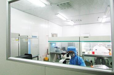 HE染色/Tunel染色/特殊染色/免疫荧光/masson染色