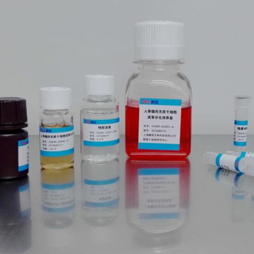 小鼠脂肪间充质干细胞成骨分化试剂盒