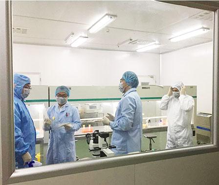 原代细胞培养/流式细胞周期检测/MTT/CCK8/XTT/Transwell细胞迁移