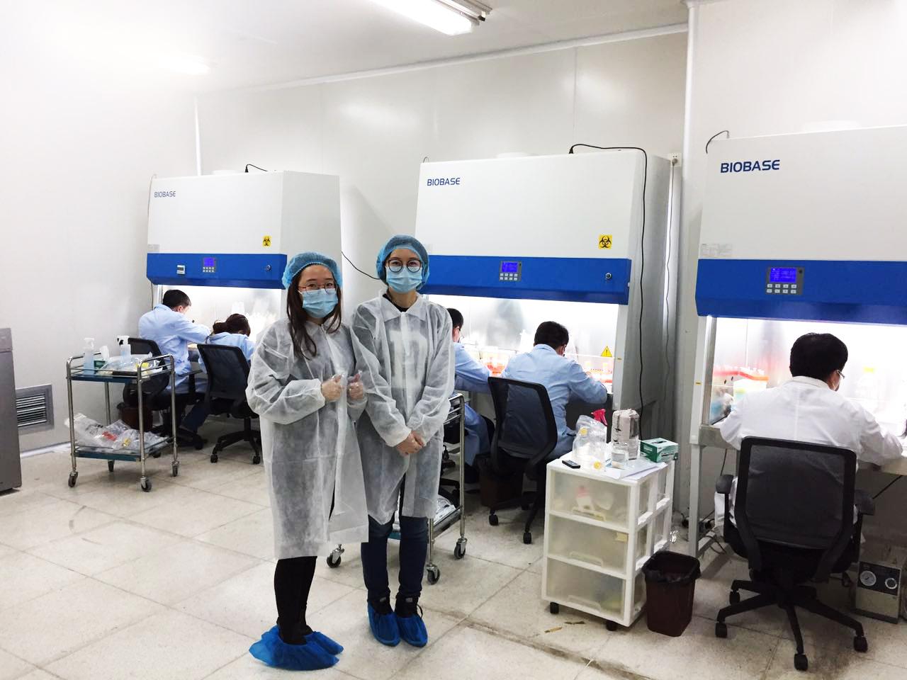 NK免疫细胞治疗培养