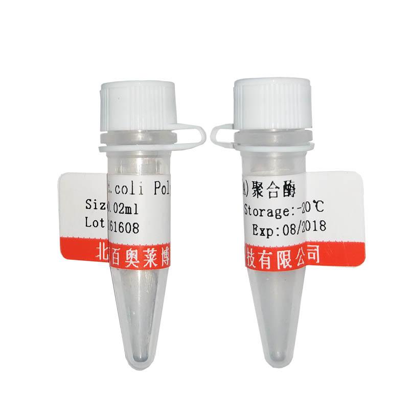 北京促销葛根素标准品价格