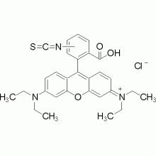 异硫氰酸罗丹明B ,偶联级，70%