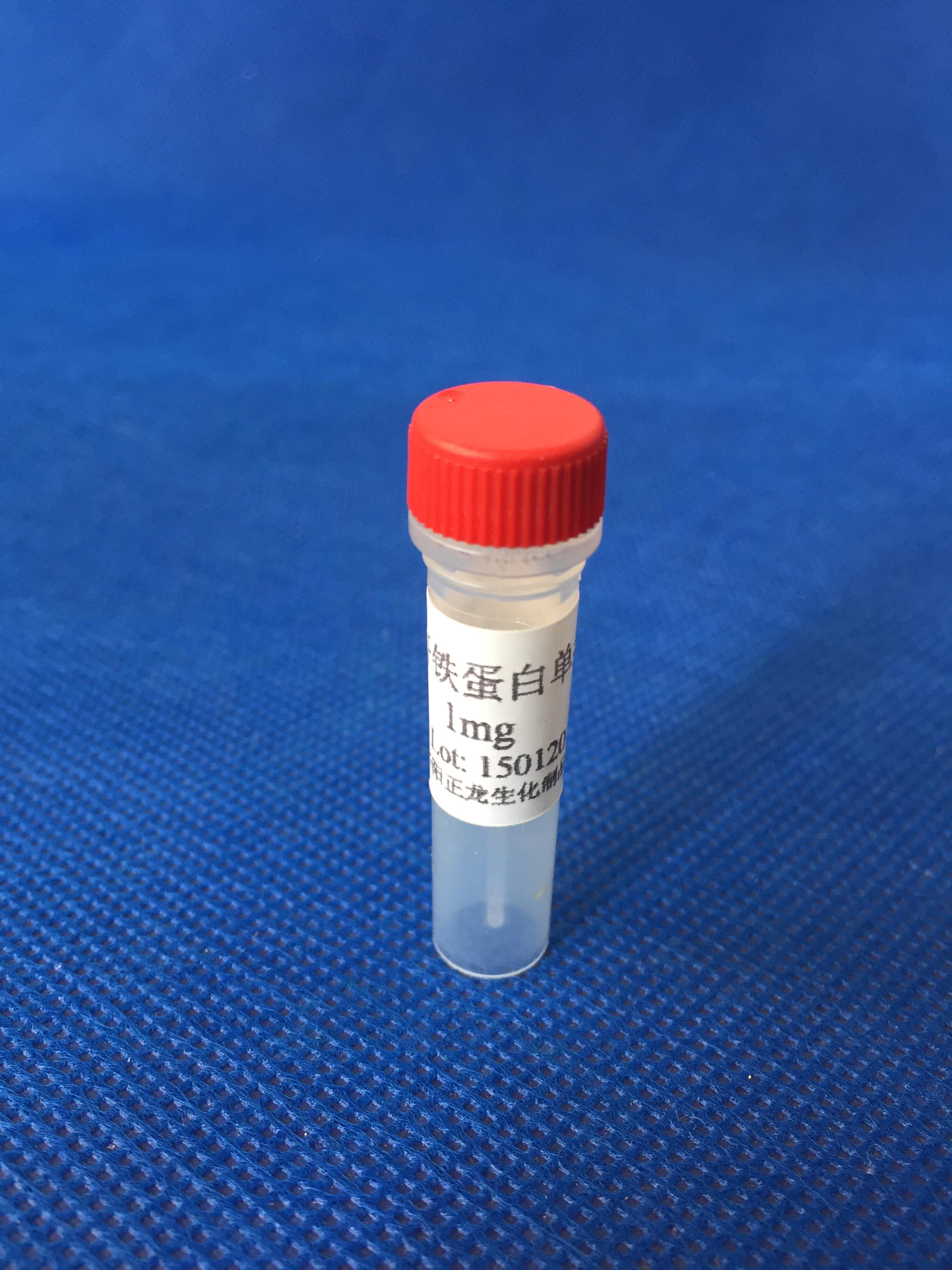 鼠抗铁蛋白单克隆抗体