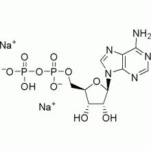 腺苷-5‘-二磷酸钠盐水合物>98.0%