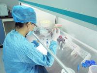 干细胞原代提取/干细胞纯化/干细胞流式鉴定