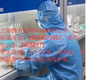 磷酸化碱性成纤维细胞生长因子受体1免疫荧光抗体 ELISA IHC-P IHC-F Flow-Cyt ICC IF