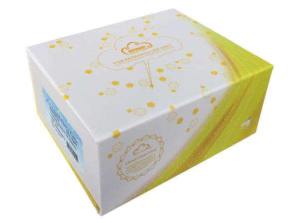 抗增殖细胞核抗原(PCNA)单克隆抗体