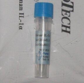 Human HB-EGF细胞因子