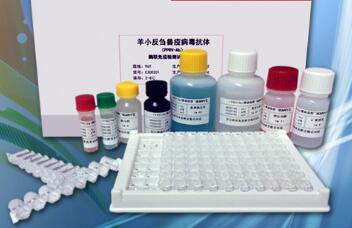 莱克多巴胺检测试剂盒