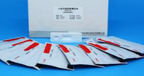 莱克多巴胺检测试剂盒