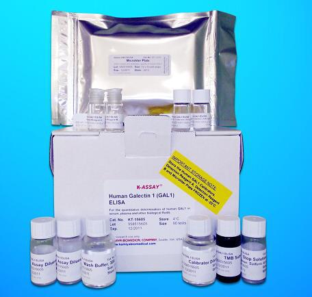 Catechol-O-Methyltransferase (COMT) ELISA Kit, Human