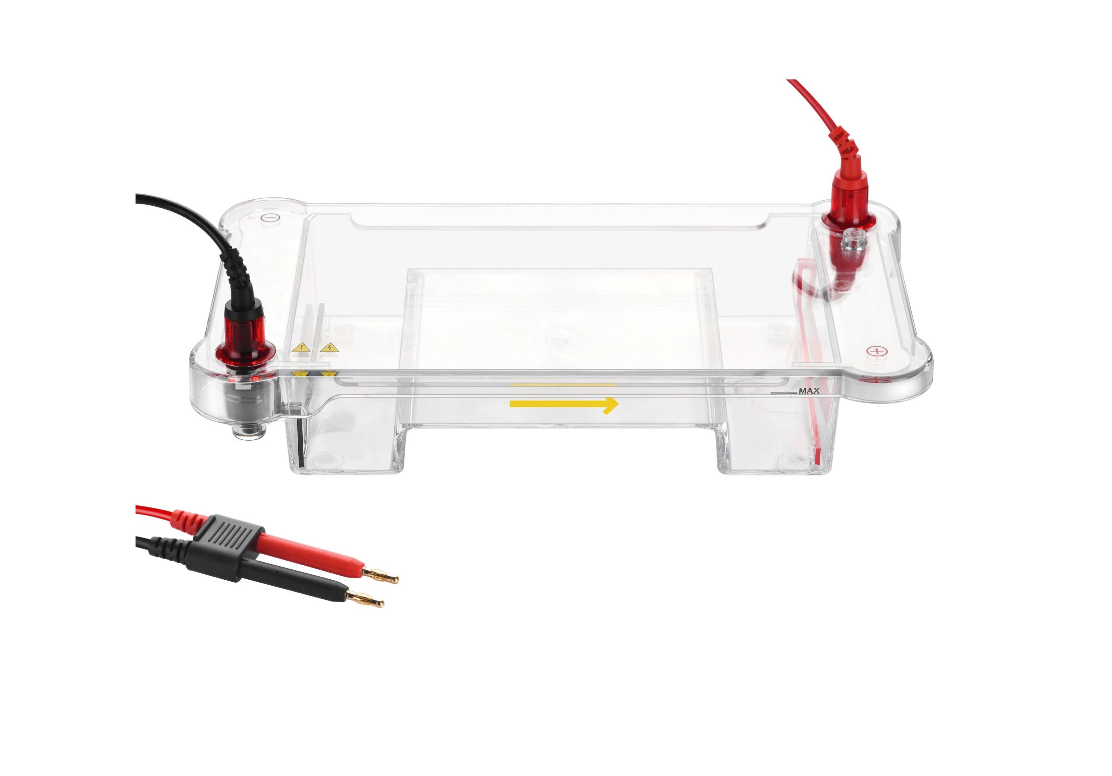 水平电泳槽（核酸胶电泳仪）