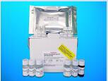 Fetuin B (FETUB) ELISA Kit, Human