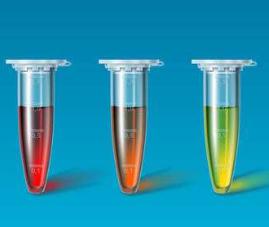 鸡血管内皮细胞生长因子(VEGF)PCR试剂盒