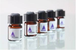 德国美天旎Miltenyi细胞分选磁珠 Pan T Cell Isolation Kit , human