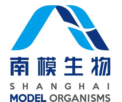 原发性肝癌小鼠模型