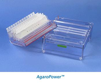 AgaroPower™电泳仪