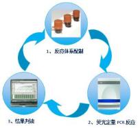 猪弓形虫抗体检测试剂盒