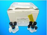 Integrin ELISA Kit (ITG/CD11b), Human