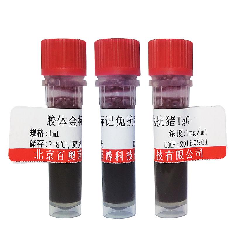 磷酸化碱性成纤维细胞生长因子受体1/2(Tyr463/Tyr466)抗体价格