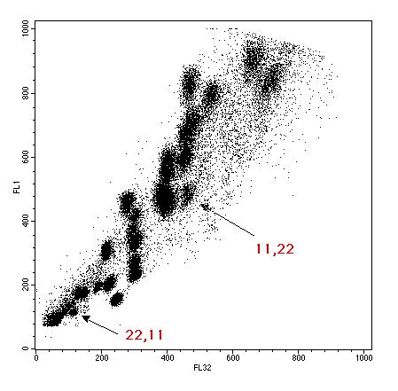 流式细胞术检测细胞核型